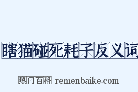 瞎猫碰死耗子反义词是什么意思的图片